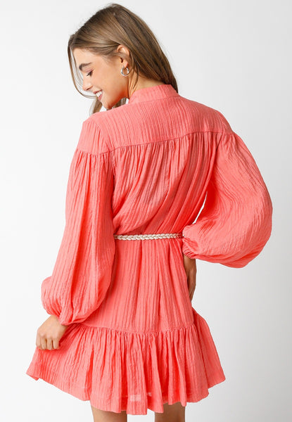 Long Sleeve Button Dress
