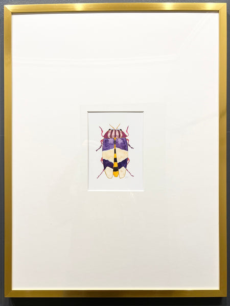 Framed Beetle Watercolor