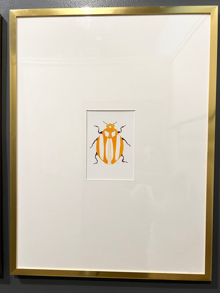 Framed Beetle Watercolor