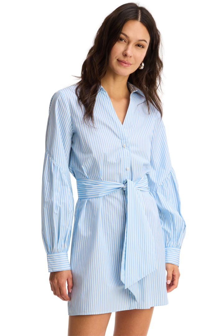 Crisp Cotton Pinstripe Dress XS