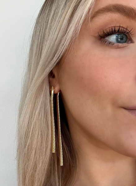 Double Trouble Drop Earrings