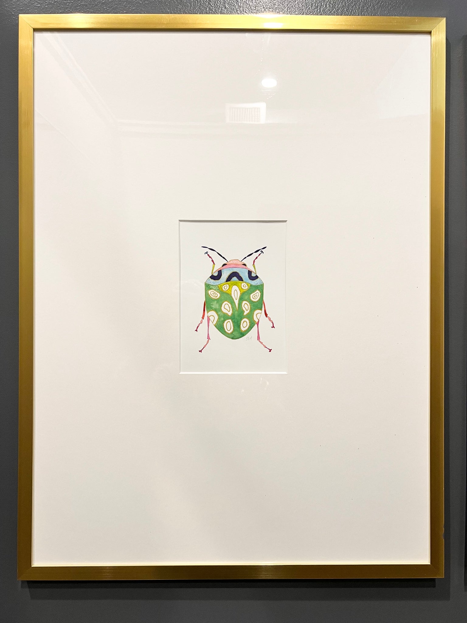 Framed Beetle Watercolor