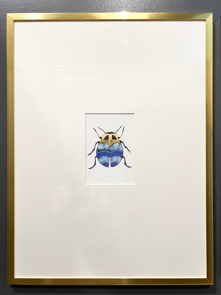 Framed Beetle Watercolor