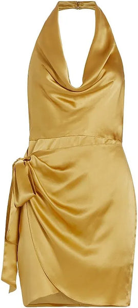 Mating Silk Dress