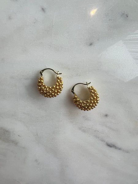 Dome Hoop Earrings