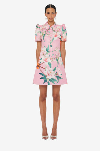 Embroidered Gauze Dress  Welle Studio