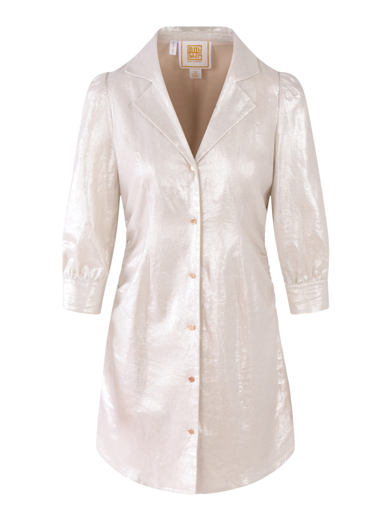 Metallic Linen Button Front Dress XS Metallic Linen Button Front Dress XS