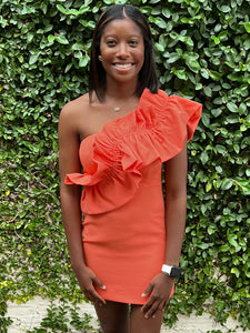Mega Ruffle Dress